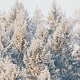 Ambient Beat - AudioJungle Item for Sale